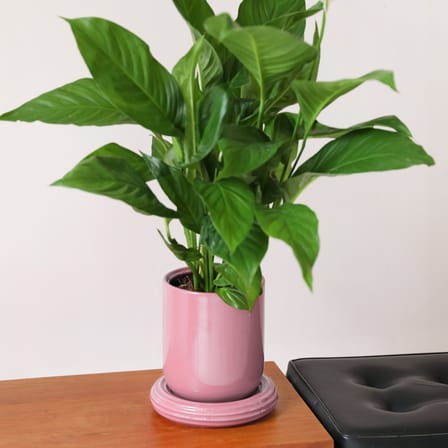 Vaso per fiori Churros ceramica rosa / Ø 19,5 x H 21 cm - & klevering
