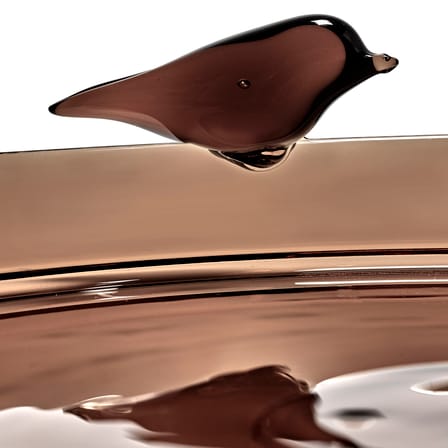 Plateau Perch verre marron / Large - Ø 35 cm - Serax