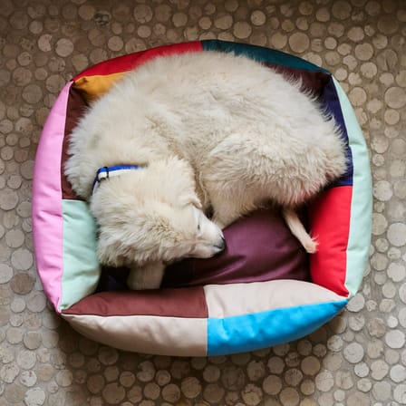 Lit pour chien Hay Dogs tissu multicolore / Small - 52 x 60 cm - Hay