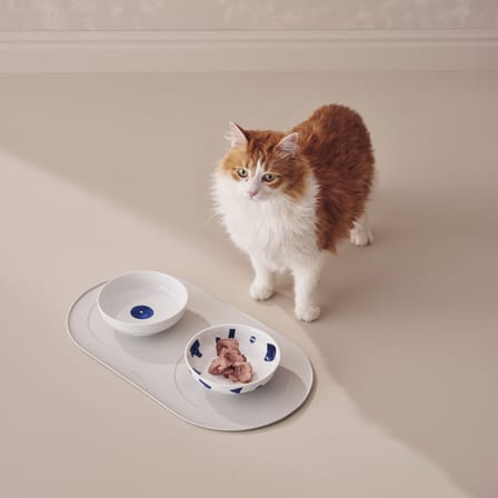 Gamelle pour chat Itsumo céramique / Bol à eau - Alessi