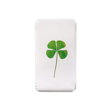 Presse-papier Cube Lucky Clover plastique transparent / Résine et trèfle véritable - 7.5 x 4 x 1 cm - & klevering