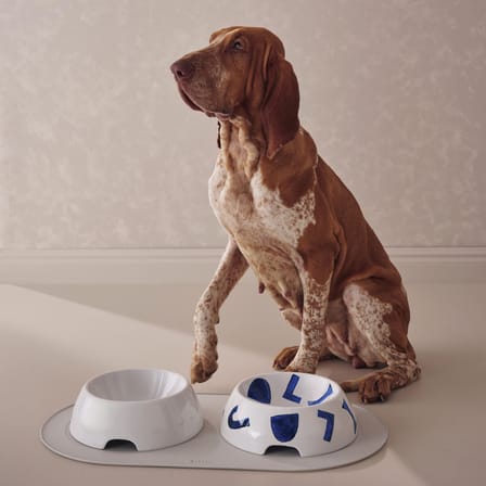 Gamelle pour chien Itsumo céramique / Bol à nourriture - Large Ø 25 cm - Alessi