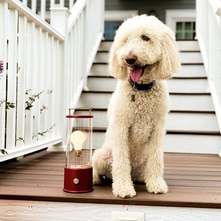Lampe sans fil rechargeable The Muse 2.0 métal rouge / IP44 - TALA