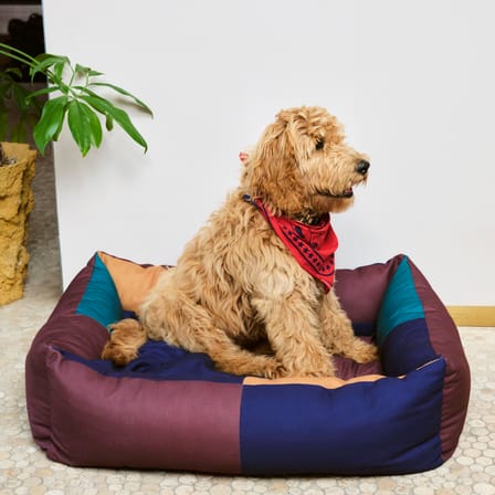 Lit pour chien Hay Dogs tissu multicolore / Large - 75 x 96 cm - Hay