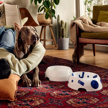 Gamelle pour chien Itsumo céramique/ Bol à eau - Large Ø 25 cm - Alessi