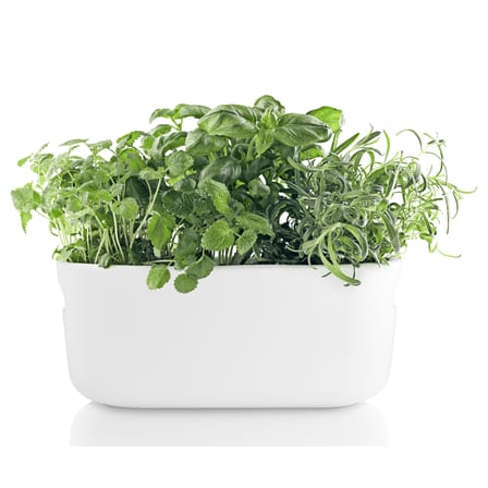 vaso con riserva Herb ceramica bianco / Contenitore per erbe aromatiche - Ceramica - Eva Solo