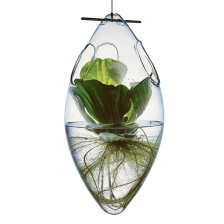 Vase Paresseux verre transparent à suspendre - Tsé-Tsé