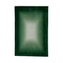 Tapis Green Door / 180 x 120 cm - Tufté main - COLORTHERAPIS