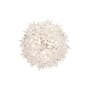 Bloom Wall light plastic material white Wall lamp / Ceiling lamp - Kartell