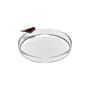 Tablett Perch glas transparent / Small – Ø 26 cm - Serax