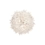 Lampada da parete Bloom materiale plastico trasparente / Plafoniera - Ø 28 cm - Kartell