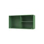 Wandablage Ripple I holz grün / Vitrine - B 69,6 x T 20 x H 35,4 cm / Gewelltes Glas - MONTANA