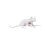 Mouse Lie Down #3/  Souris allongée Table lamp plastic material white /  Mouse lying down - Seletti