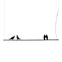 Suspension Phil n°B / Tourterelles - LED / L 150 cm - Mogg