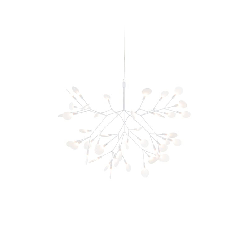 Heracleum pendant hot sale