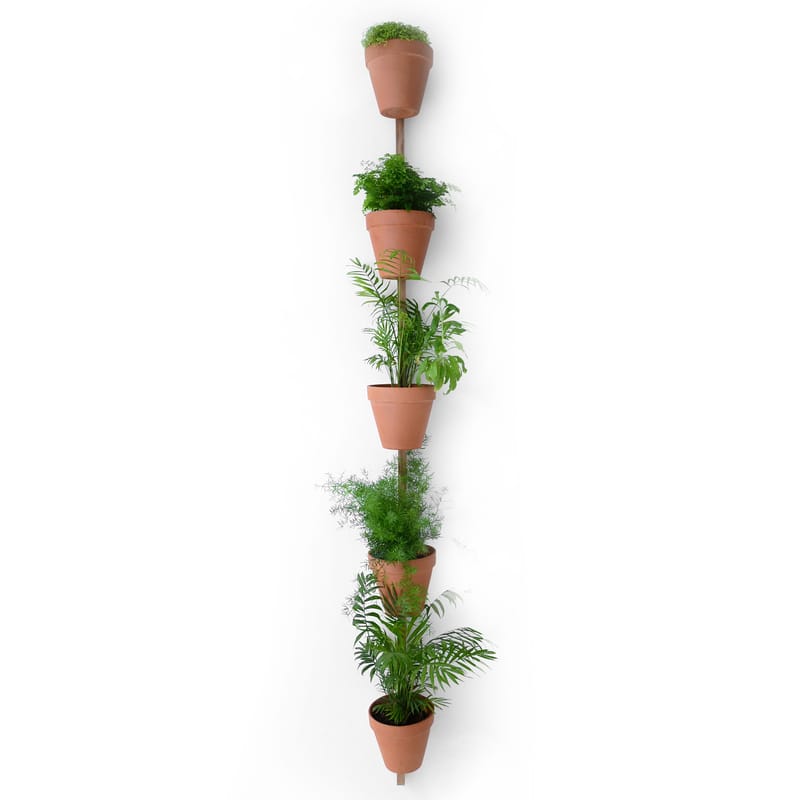 Decoration - Flower Pots & House Plants - XPOT Wall fixation natural wood - Compagnie - Natural wood - Solid oak