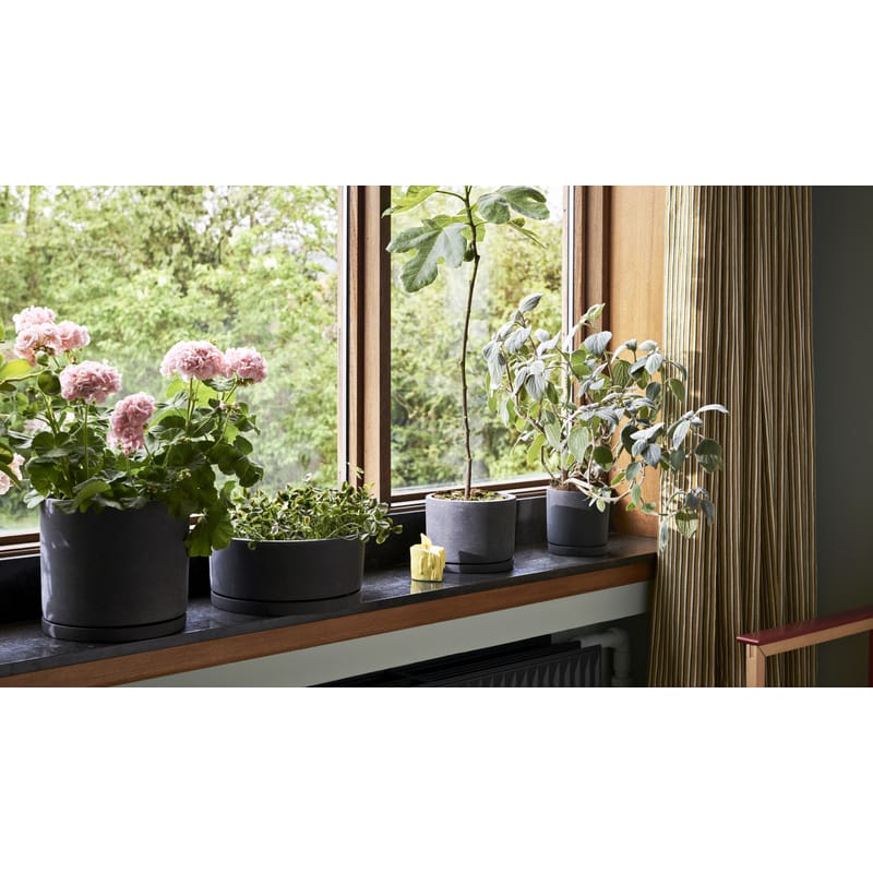 Hay shop plant pot
