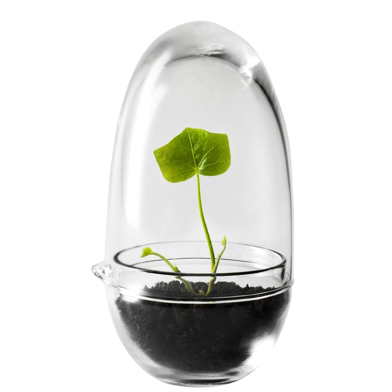 Décoration - Pots et plantes - Mini serre Grow Small verre transparent / Ø 8 x H 14 cm - Design House Stockholm - H 14 cm / Transparent - Verre soufflé bouche