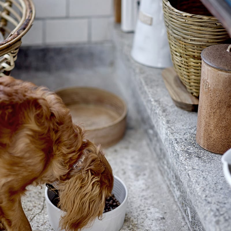 Pethiy Contenitore Crocchette Cibo E Trattare Per Cani, Con Coperchio E Paletta, Capacit&agrave; 2,3 Kg, Contenitore Per Alimenti In Metallo Per Animali Domestici-Bianco-Dog Food