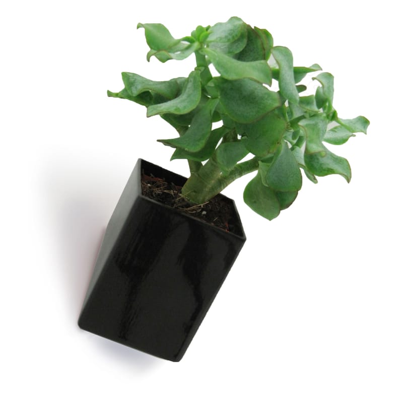 Decoration - Funny & surprising - Off the wall Wall flowerpot ceramic black Small / Wall fixation - D 8 cm - Thelermont Hupton - Black - Ceramic