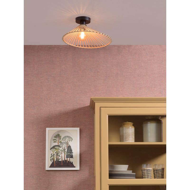 Asymmetric ceiling on sale light