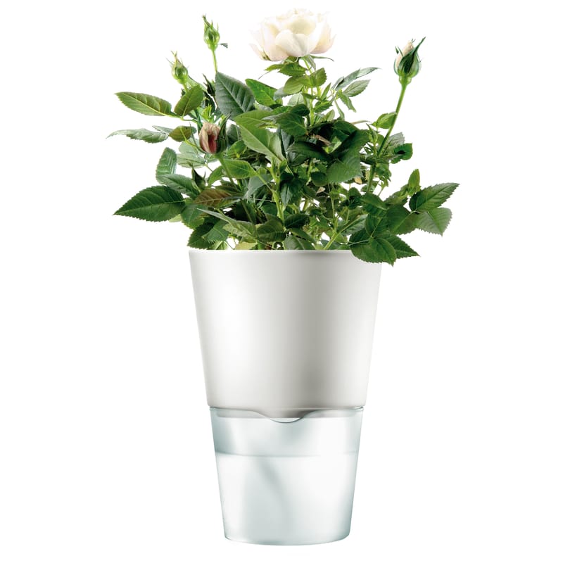 Tisch und Küche - Einfach praktisch - Blumentopf mit Wasserreservoir  glas keramik weiß - klein - Eva Solo - Klein- Weiß - Glas, Keramik