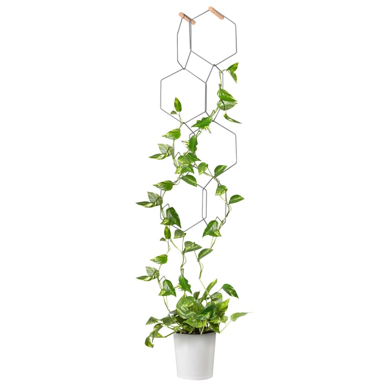 Decoration - Flower Pots & House Plants - Anno Trellis metal black / Modular - Set of 8 metal rings - Hexagon - Compagnie - Black / Beechwood hooks - Beechwood, Steel