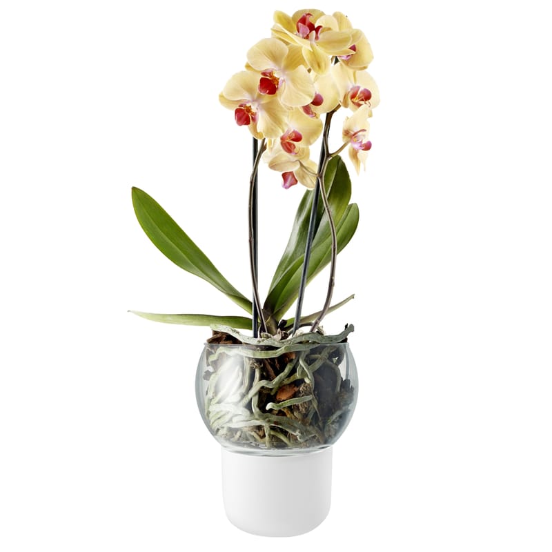 Interni - Vasi e Piante - Vaso da fiori con riserva d\'acqua Large Ø 15 cm / Per orchidee - Eva Solo - Large Ø 15 cm / Bianco - Vetro acidato, Vetro soffiato a bocca
