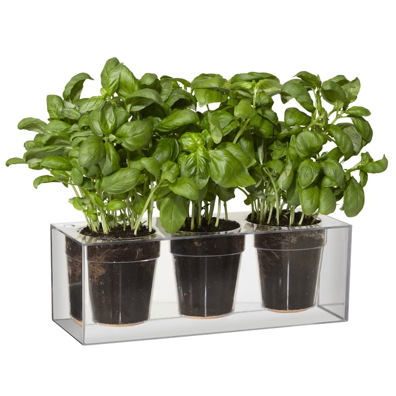 Jardin - Pots et plantes - Jardinière à réserve d\'eau Cube plastique transparent / Pour 3 plantes - Boskke - Transparent - Polycarbonate