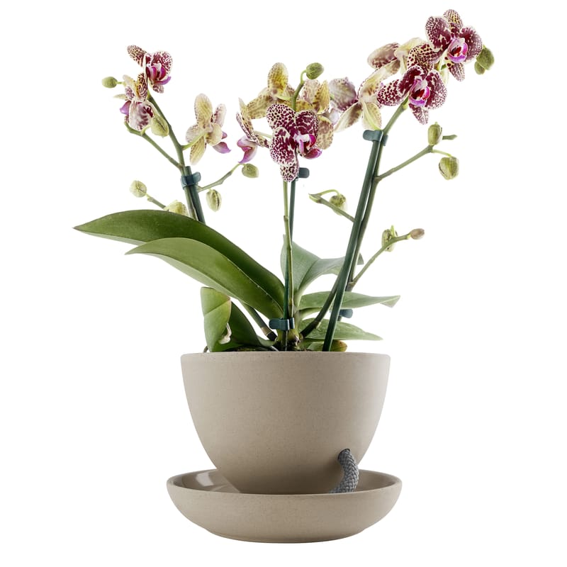Decoration - Flower Pots & House Plants -  Self-sufficient flowerpot ceramic beige / Capillary watering - Eva Solo - Nature - Ceramic, Nylon