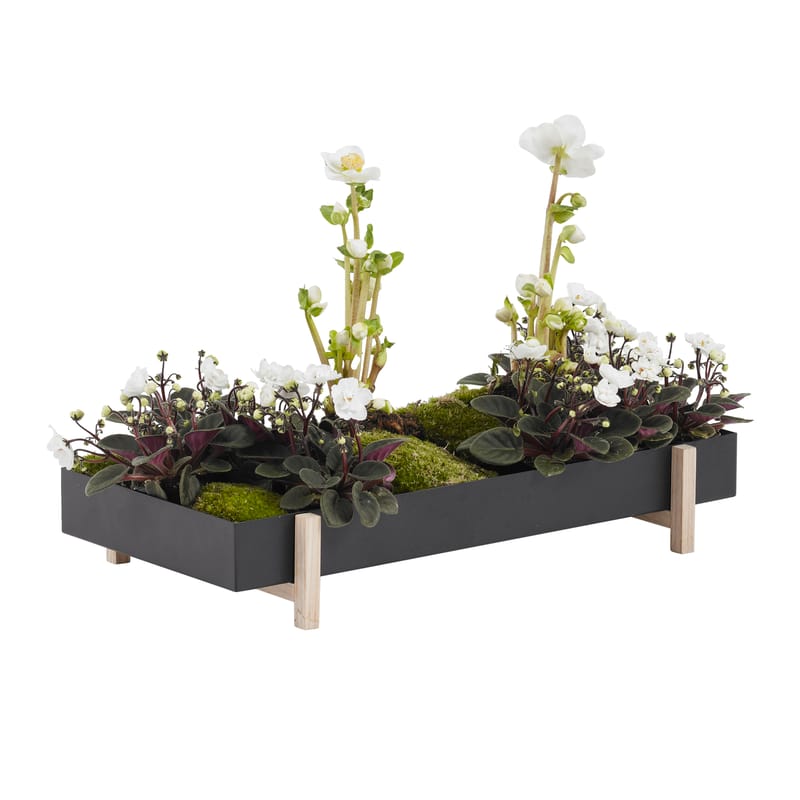 Décoration - Pots et plantes - Pot de fleurs Botanic Tray métal noir / Plateau - 45 x 20 cm x H 4,8 cm - Design House Stockholm - Noir / Frêne - Frêne massif, Métal