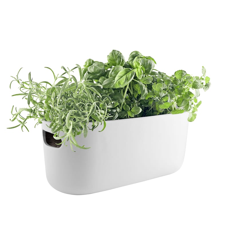 Décoration - Pots et plantes - Pot à réserve d\'eau Herb céramique blanc / Bac à herbes aromatiques - Eva Solo - Blanc - Céramique, Nylon, Plastique
