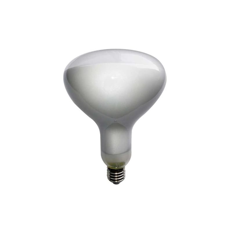 Luminaire - Ampoules et accessoires - Ampoule LED E27  verre transparent / 13W, 2700 K, 1300 lm - Dimmable - Flos - Transparent - Verre