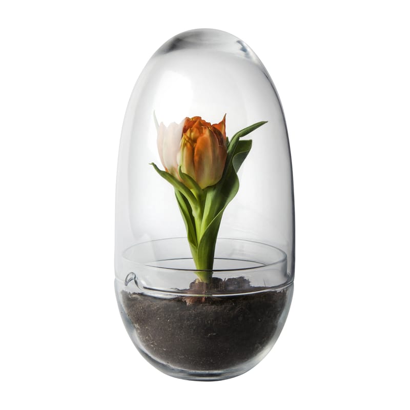 Decoration - Flower Pots & House Plants - Grow Large Greenhouse glass transparent / Ø 12 x H 24 cm - Design House Stockholm - H 23 cm / Transparent - Mouth blown glass