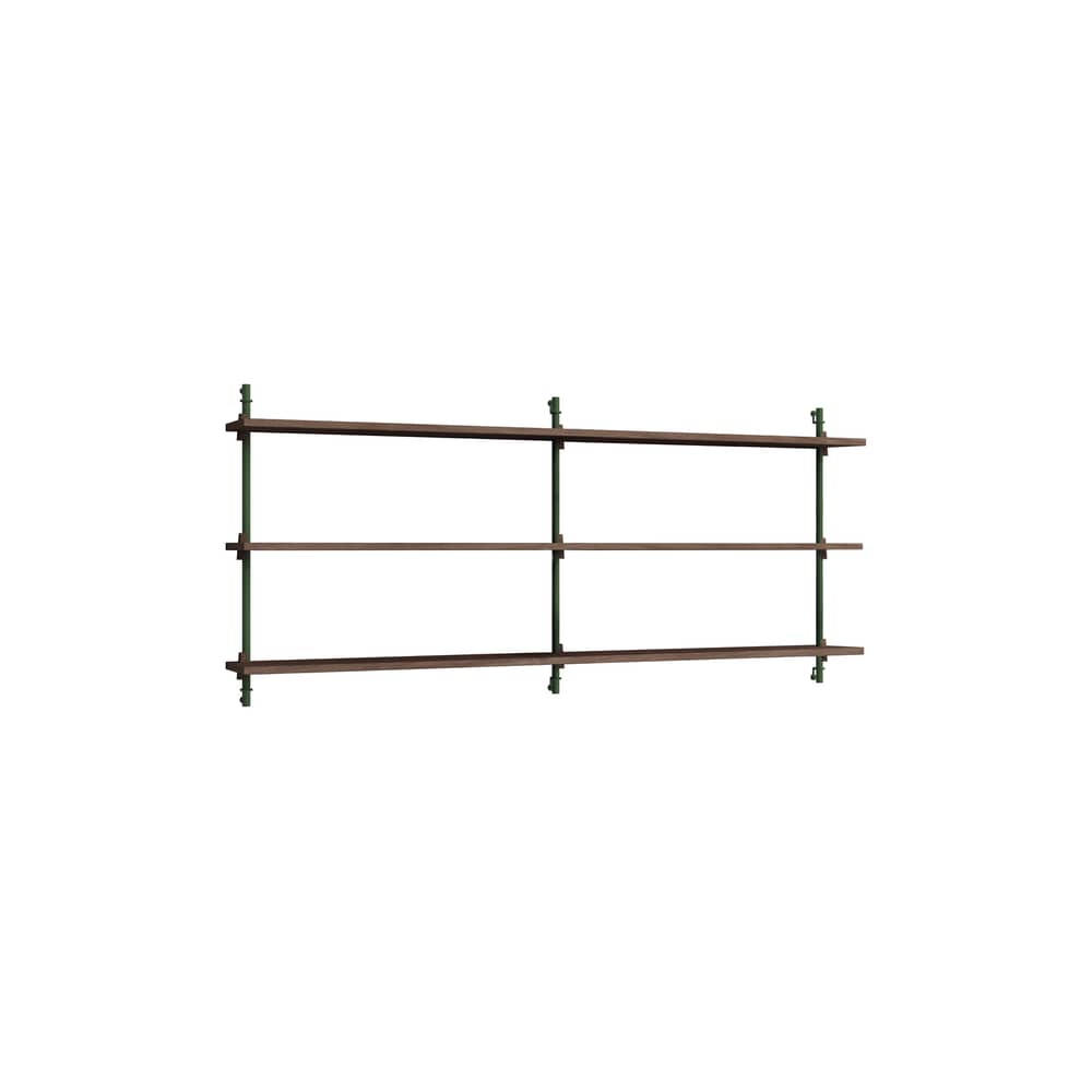 Regal Wall Shelving – ws.65.2 holz braun / B 162 x H 65 cm x Prof. 17,5 cm - MOEBE - Räuchereiche / Grün - MDF Eichenfurnier, Stahl