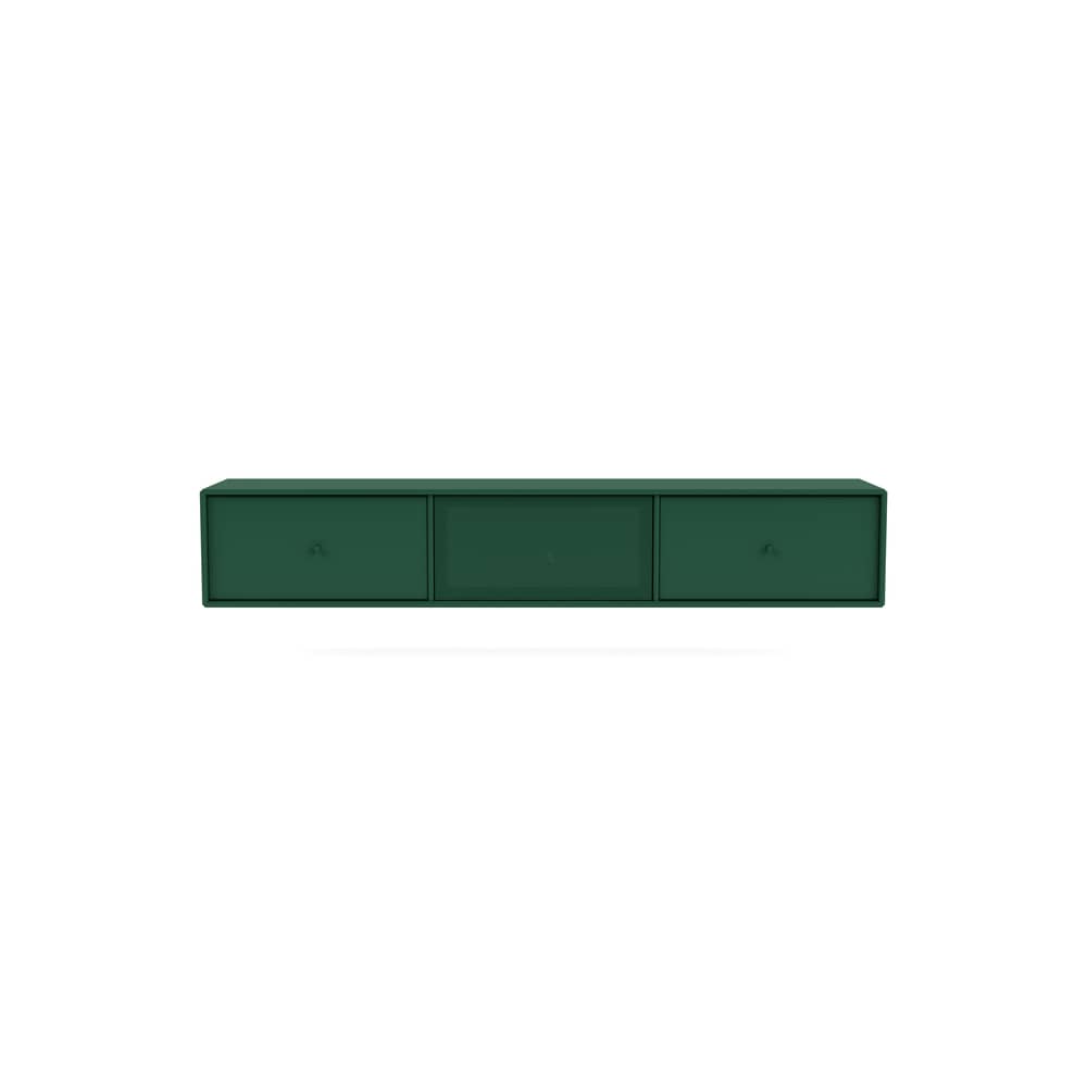 Octave V Wall-mounted TV unit wood green / W 138 x D 30 x H 24 cm - MONTANA - Pine 136 - Lacquered MDF, Perforated steel