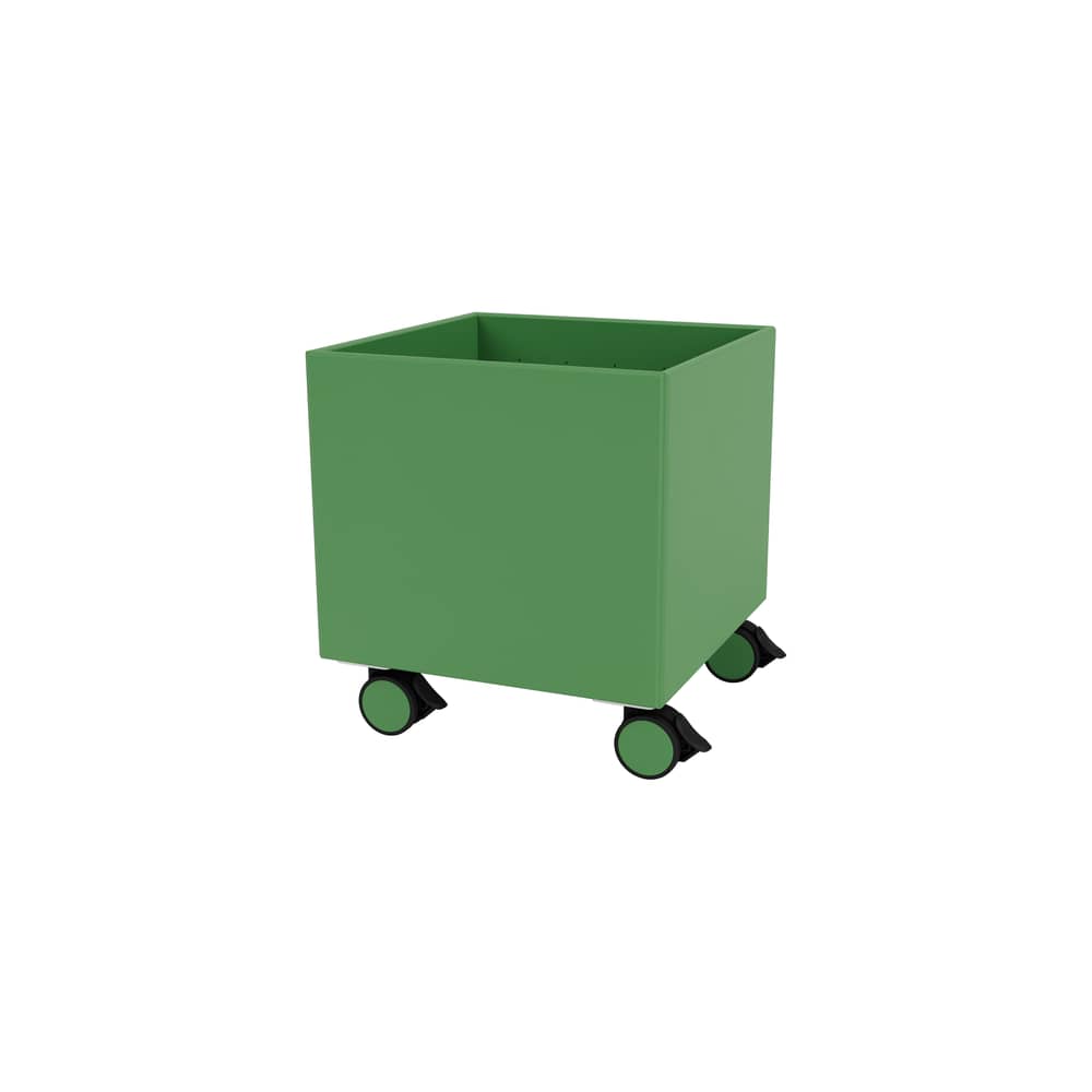 Colour Box I Storage chest on wheels wood green / 35.4 x 35.4 x H 37.8 cm - MONTANA - Parsley 152 - Lacquered MDF