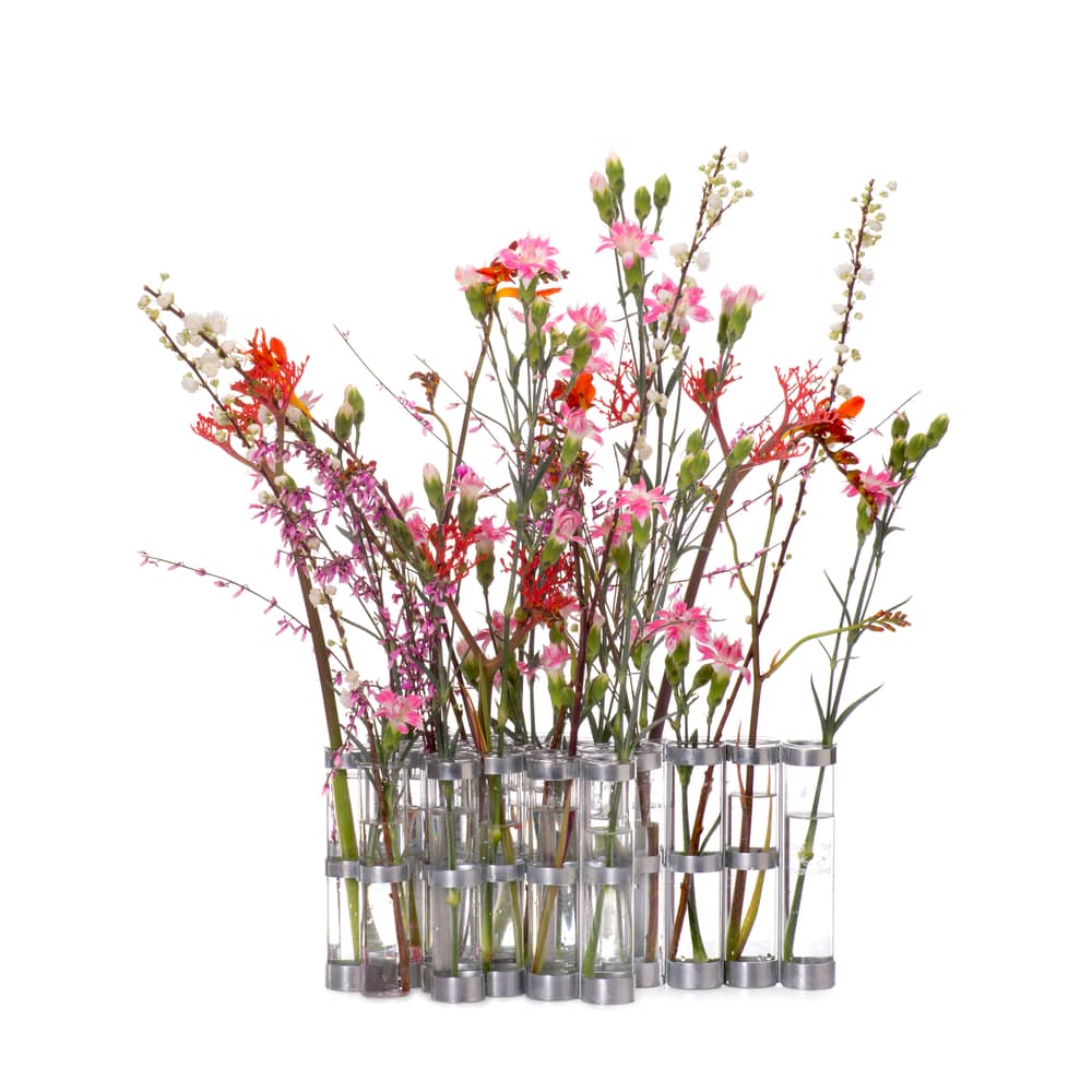 Vase d'Avril Tsé-Tsé Medium / L 74 x H 15 cm - Transparent - Metal