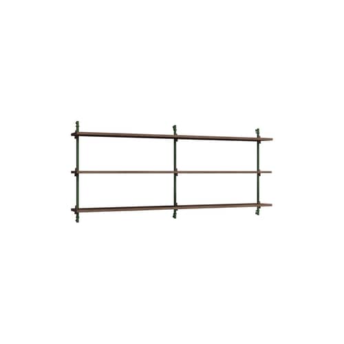 Regal Wall Shelving – ws.65.2 holz braun / B 162 x H 65 cm x Prof. 17,5 cm - MOEBE - Räuchereiche / Grün - MDF Eichenfurnier, Stahl