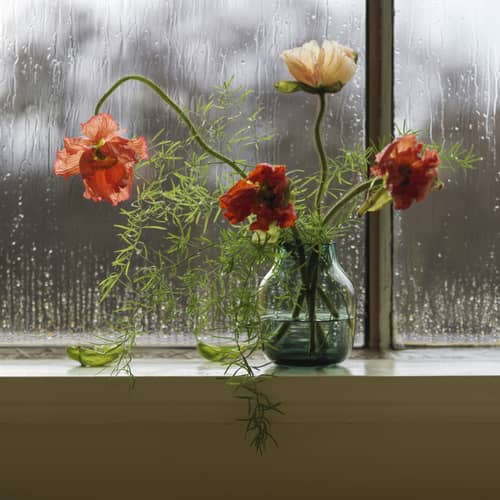 Vase Silent verre vert / Ø 11 x H 13,4 cm - Muuto - Vert foncé - Verre soufflé bouche