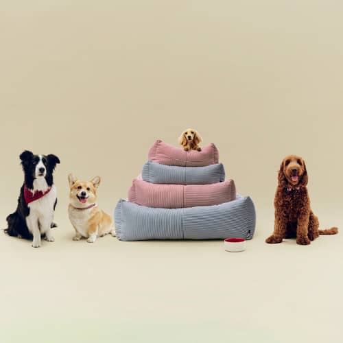hundespielzeug aus naturkautschuk Triangle Tug fr Hunde von Wild One in nude  Robustes Tauziehspielzeug aus  Naturkautschuk und Baumwolle  Hejpaw