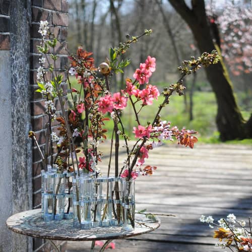 Vase d'Avril Tsé-Tsé Medium / L 74 x H 15 cm - Transparent - Metal