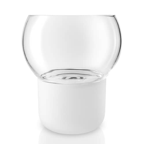 Terra per orchidee con vaso - Planta - 15 cm