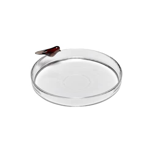 Plateau Perch verre transparent / Small - Ø 26 cm - Serax - Transparent - Verre