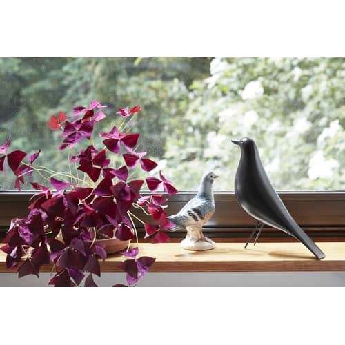 Décoration Eames House Bird bois noir - Vitra - Noir - Bois d\'aulne, Métal