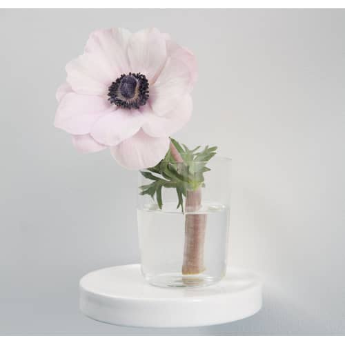 Étagère Balcon céramique blanc / Ø 14 cm - Moustache - Céramique blanche - Céramique