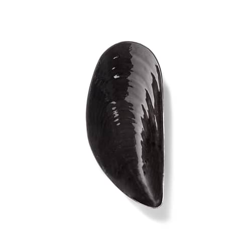 Servierplatte Marcel Medium keramik schwarz / 30.5 x 14 cm - Serax - Schwarz - emailliertes Porzellan