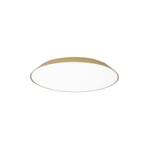 Wandleuchte Febe LED plastikmaterial grau / Deckenleuchte - Ø 61 cm - Artemide - Taubengrau - Methacrylate, Polykarbonat