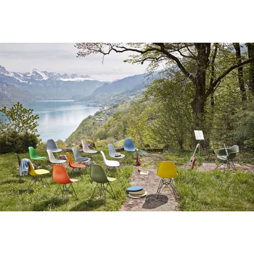 DAR - Eames Plastic Armchair Armchair plastic material white / (1950) - Black legs - Vitra - White / Black legs - Epoxy lacquered steel, Polypropylene