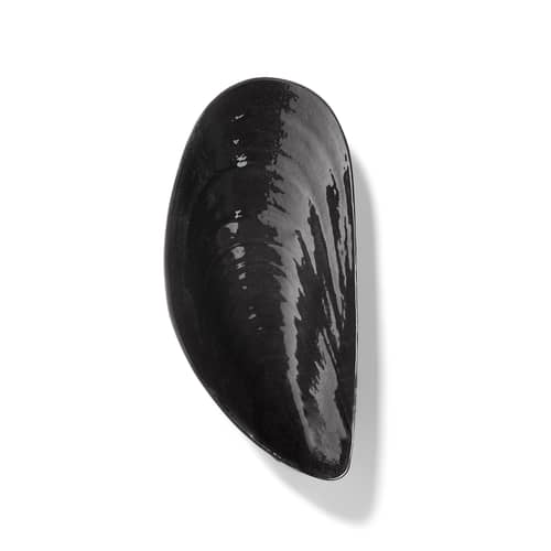 Servierplatte Marcel Large keramik schwarz / 46 x 21,5 cm - Serax - Schwarz - emailliertes Porzellan